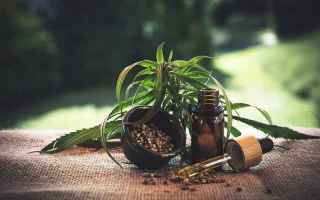 Medicina: cbd  cannabis legale  sunnyweed