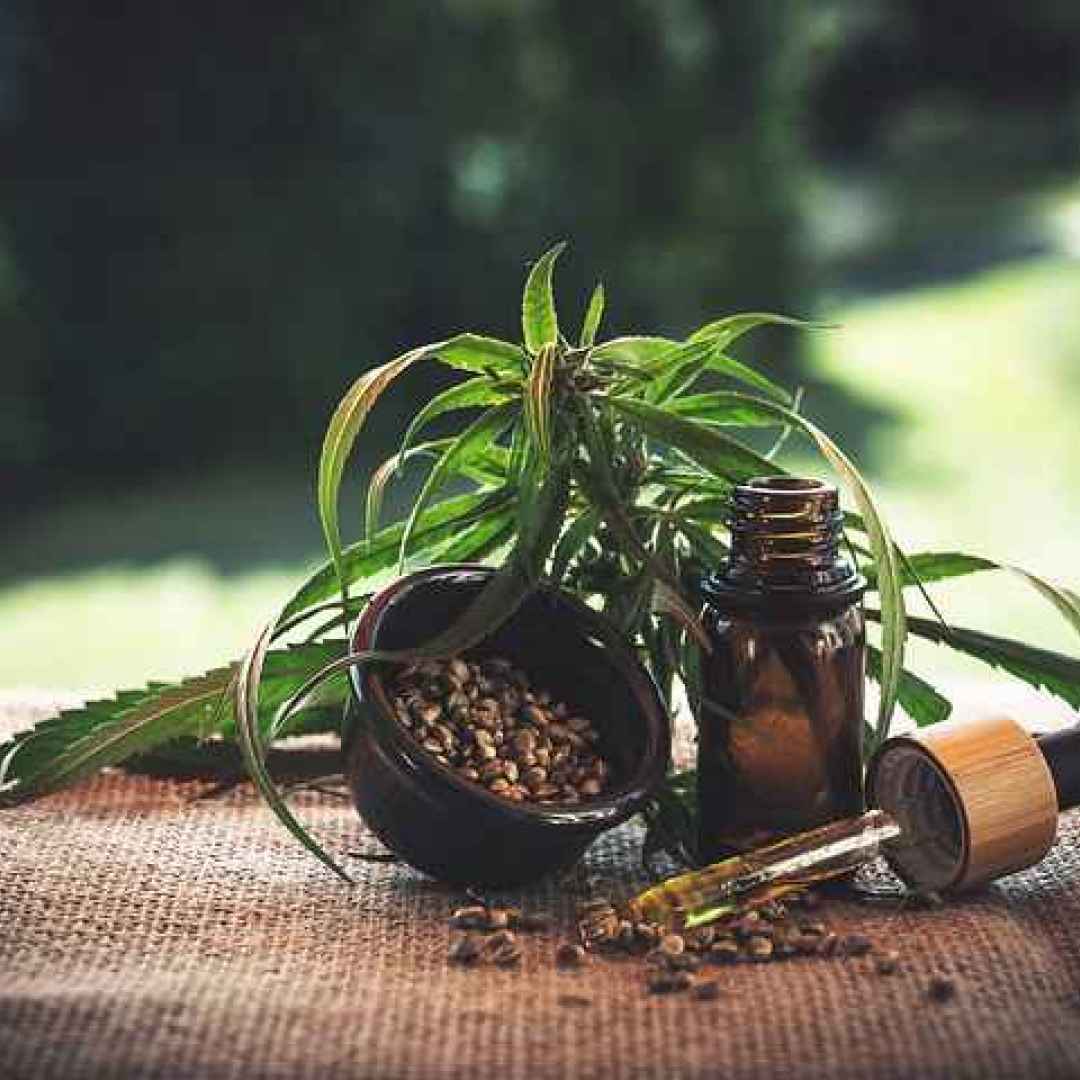 cbd  cannabis legale  sunnyweed