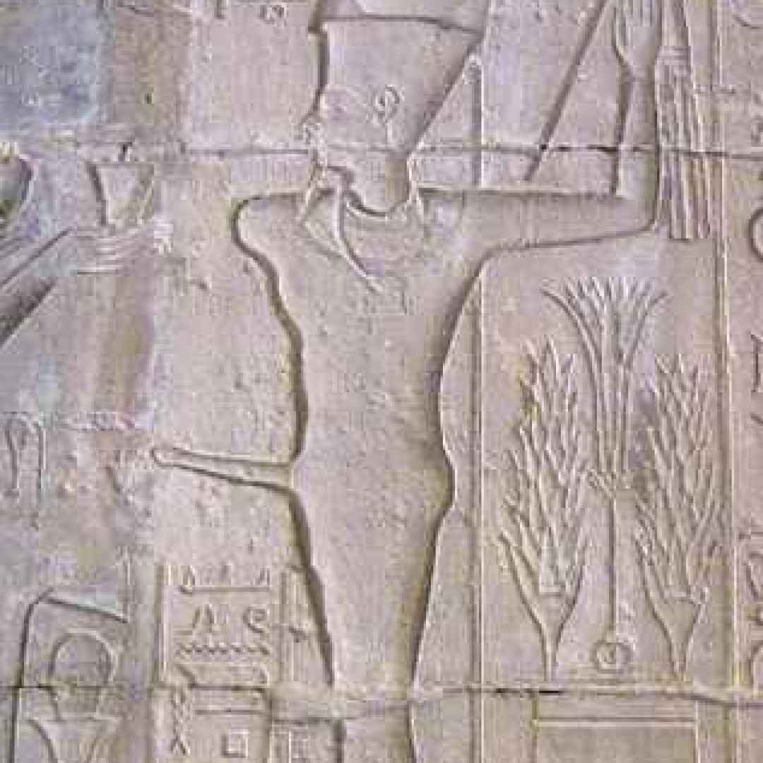 lattuga  min  mitologia egizia