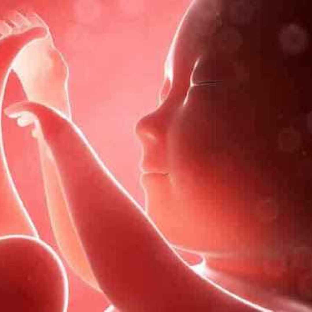 gravidanza  donna-incinta  bambini