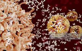 Medicina: covid-19  infiammazione  anticorpi