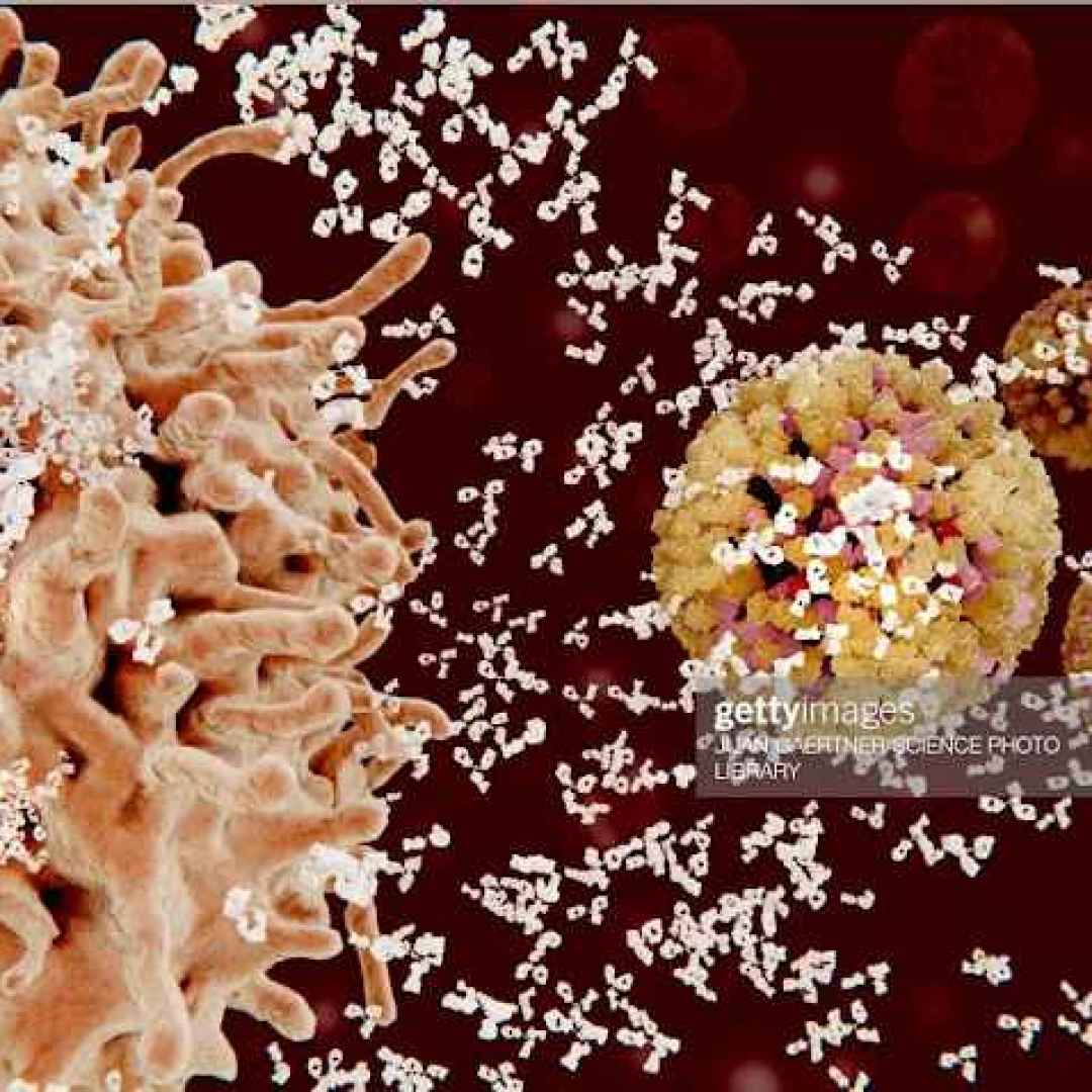 covid-19  infiammazione  anticorpi