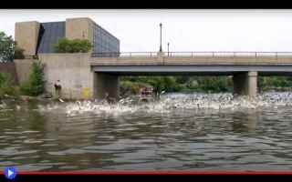 Animali: fiumi  canali  carpe  pesci  animali