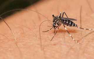 Medicina: zanzare  malaria  guardoni