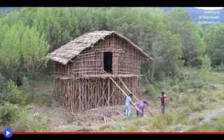 Architettura: papua  tribù  cultura  società
