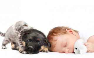 Allergia agli animali domestici: il contatto fin da bambini evita il problema