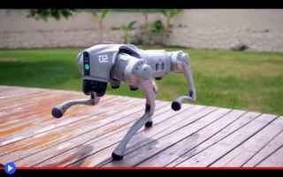 Tecnologie: cani  robot  cina  prodotti  prototipi
