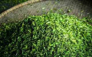 dieta  tè verde  integratori