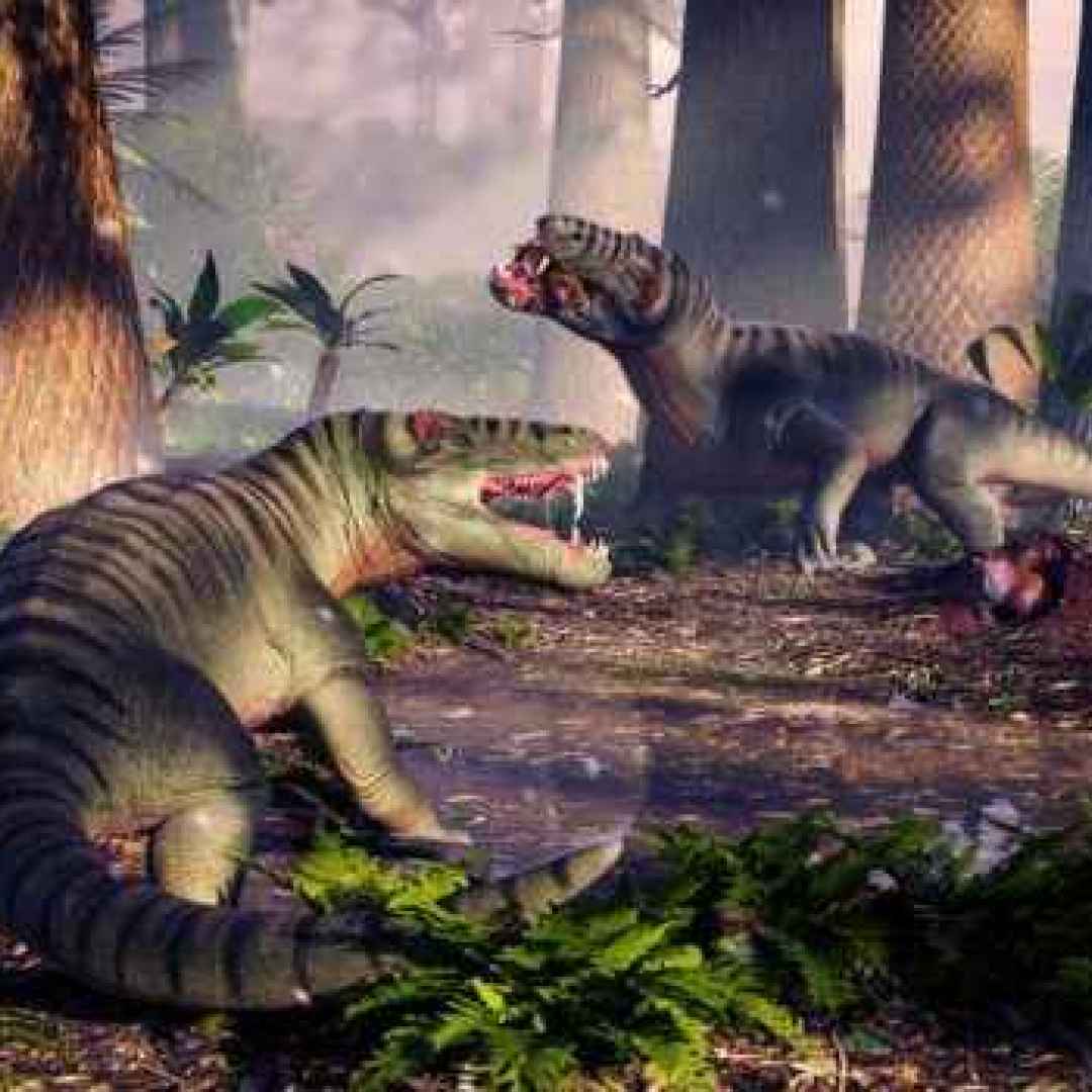 animali  creature  dinosauri  terapodi