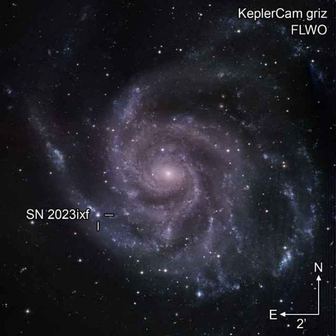 supernova  sn 2023ixf