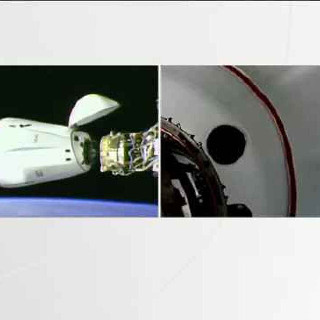spacex  dragon  crs-29  cargo spaziale