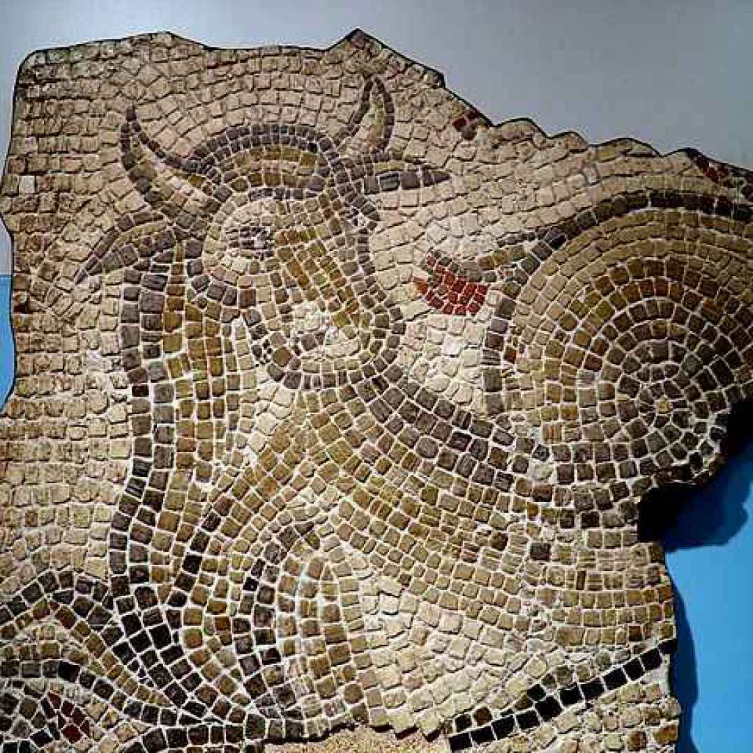 Mitologia: Ofiotauro, un mostro in parte toro e in parte serpente