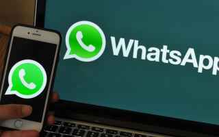 WhatsApp: whatsapp  messenger  social  chat