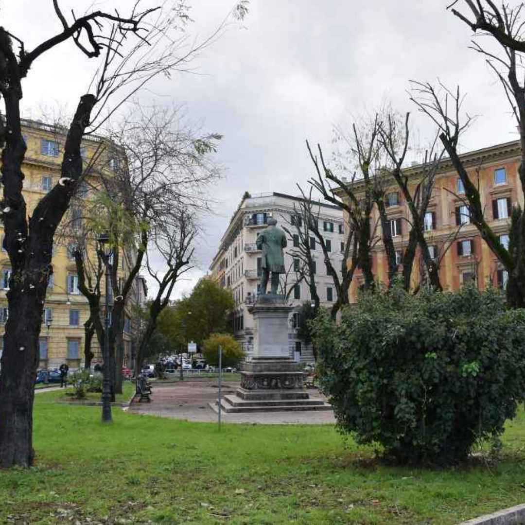 #Roma: Potature tra via di Porta Cavalleggeri e via Aurelia
