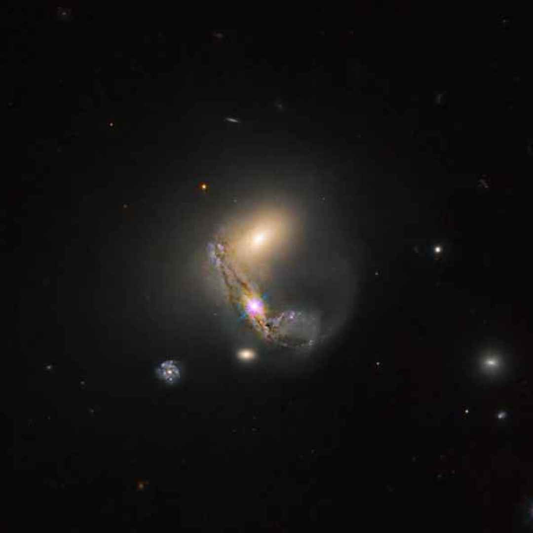 leda 60847  galassie  hubble