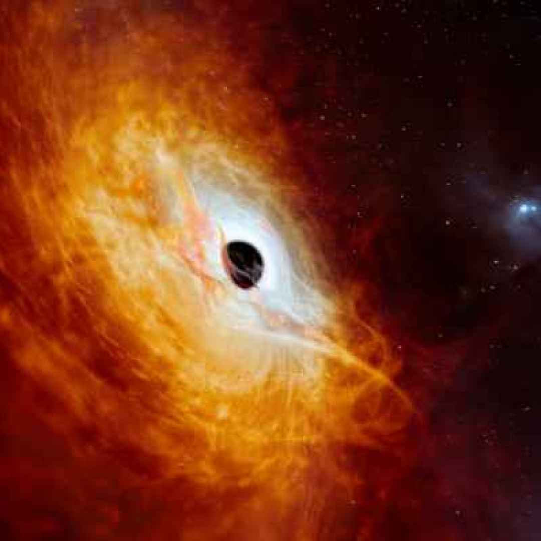 quasar  buco nero supermassiccio