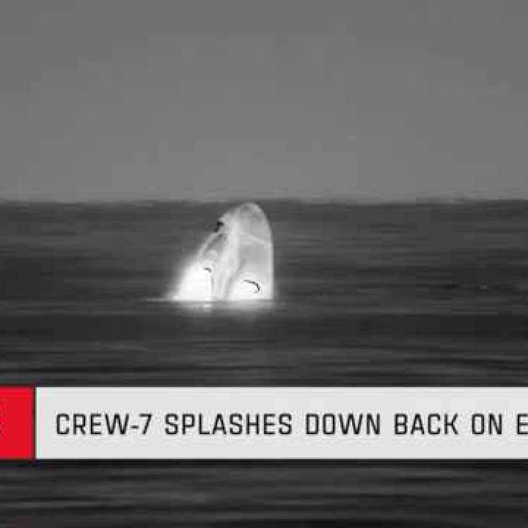 crew-7  spacex  crew dragon endurance