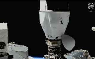 spacex  dragon  crs-30  cargo spaziale