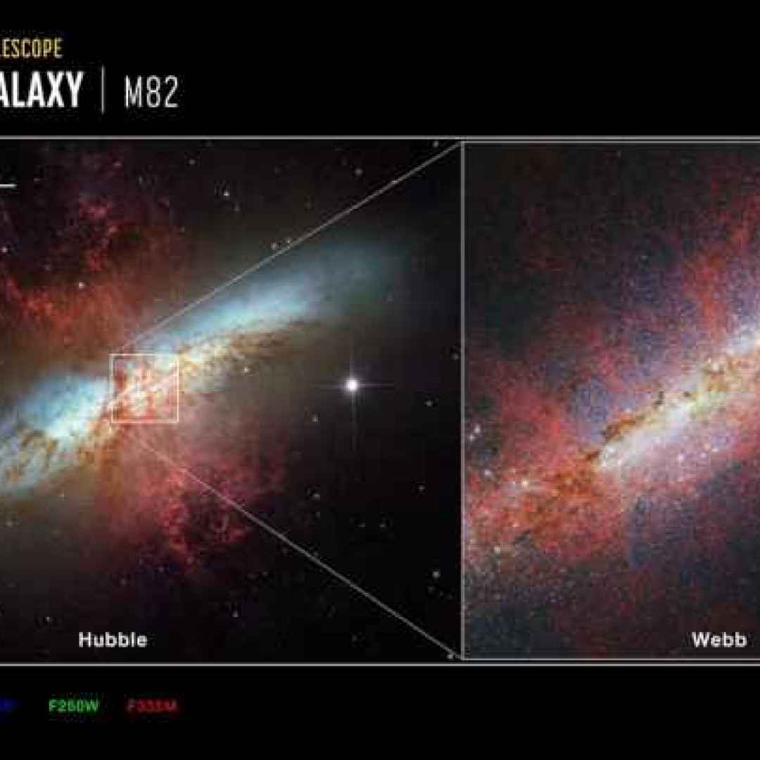 galassie  james webb  m82