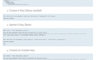 oracle  database