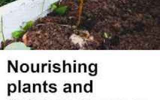 Giardinaggio: garden  gardening  healthy foods  soils