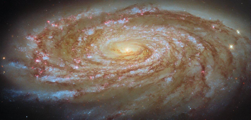 M88 è una galassia attiva, il che significa che il suo centro ospita un buco nero supermassiccio che si nutre di gas e polvere. Si stima che questo buco nero abbia una massa circa 100 milioni di volte quella del Sole e sembra alimentare flussi di gas in uscita dal centro della galassia.

Attorno a questo buco nero si trova una popolazione di stelle vecchie e rossastre che conferiscono a M88 il suo cuore dal bagliore caldo. Dal centro si irradiano diversi bracci a spirale strettamente avvolti e simmetrici, ciascuno delineato da ammassi stellari scintillanti rosa e blu e da nodi di nuvole di polvere. Vediamo M88 da un'angolazione tale che appare allungata, e i suoi bracci a spirale si aprono delicatamente a ventaglio davanti a essa.

M88 è un membro dell'Ammasso della Vergine, una raccolta di oltre mille galassie tenute insieme dalla gravità — e quindi legate dal destino. Mentre questo enorme gruppo di galassie si muove nello spazio, le galassie stesse sono in costante movimento mentre orbitano attorno al centro di gravità dell'ammasso. M88 stessa è impegnata in un viaggio cosmico lungo e alquanto pericoloso che la porterà nelle regioni più interne dell'ammasso.
