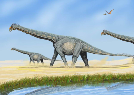 Alcuni dinosauri sauropodi, come Alamosaurus sanjuanensis, formavano branchi segregati per età.
