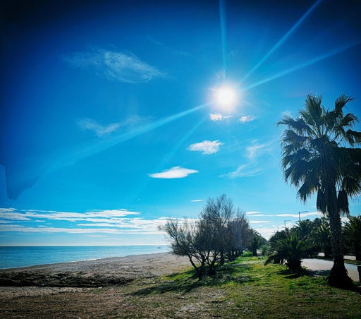 Spiaggia con palme, cielo sereno e sole brillante all'orizzonte.