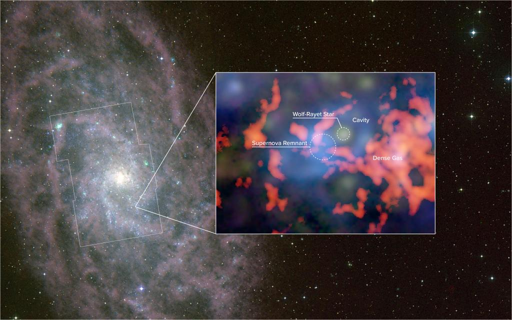 Questa rappresentazione artistica della galassia M33, con dati inseriti da ALMA e NSF VLA, mostra i resti di una supernova che gli astronomi ritengono siano stati causati da un'esplosione avvenuta circa 10.000 anni fa. Questa nuova ricerca suggerisce che la Wolf-Rayet potrebbe esplodere come una supernova nei prossimi 0,5-1 milioni di anni.