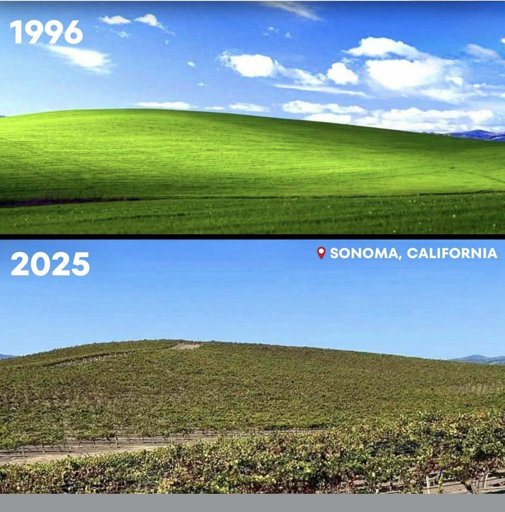 la schermata di windows XP nel 1996 e nel 2025