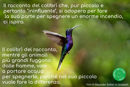 Il racconto del colibri che, pur piccolo e pertanto ‘ininfluente’, si adopera per fare
la sua parte per spegnere un enorme incendio, ci ispira. 
Il colibri del racconto, mentre gli animali piu grandi fuggono dalle fiamme, vola
a portare acqua per spegnerle, perché nel suo piccolo vuole fare la differenza. 
 Foto di Alexander Rotker su Unsplash, ritrae un colibrì in volo.
