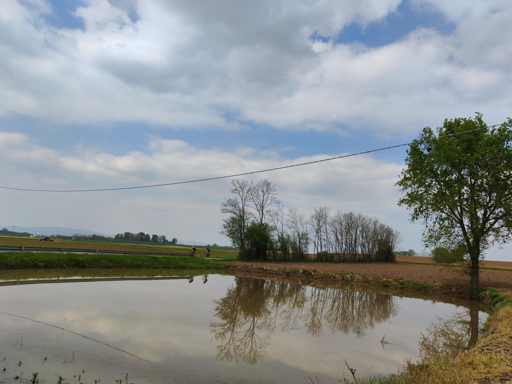 uno stagno del Pianalto TO 
camminando nel pomeriggio