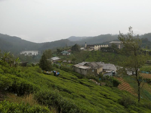 campi di tè e Pedro Factory a Nuwara Eliya, Sri Lanka