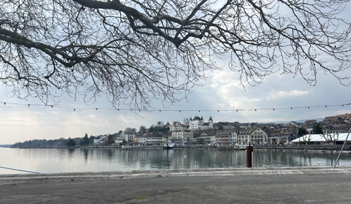 Vista del lungo lago a Nyon, si vedono i vecchi edifici, il castello più in alto. Il cielo è grigio con sprazzi di luce. In primo piano si vedono i rami di un albero.