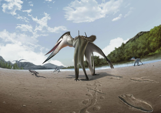 Illustrazione artistica di Jinjuichnus procerus e degli animali tetrapodi che hanno lasciato le impronte. L’autore delle tracce, un neoazdarchiano, sta seguendo il piccolo vertebrato.