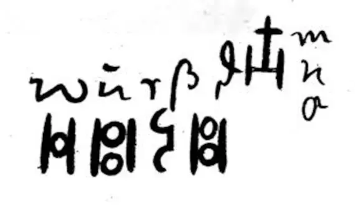  Estratto dal Libro dei Selvaggi contenente la parola "Wurszd".