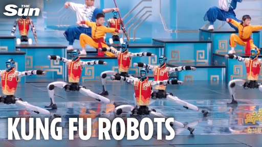Kung Fu Robots