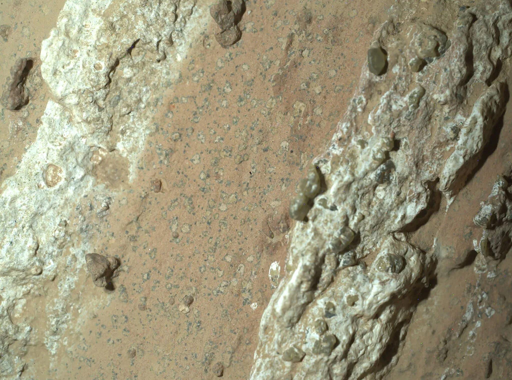 IT: particolare del suolo marziano nella regione di Cheyava Falls all'interno del cratere Jezero, come fotografato dal rover Perseverance.
Credito: NASA/JPL.

EN: close-up of martian soil from Cheyava Falls within Jezero crater, as taken from Perseverance rover.
Credit: NASA/JPL.