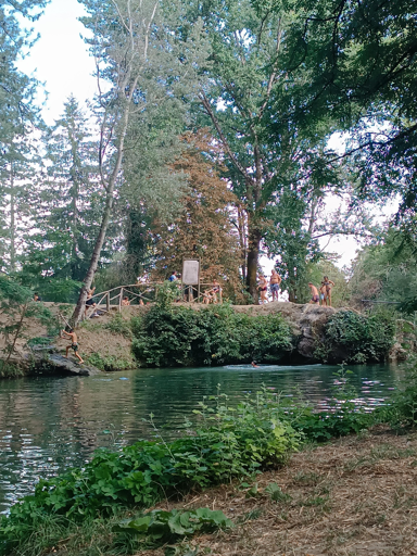 Piscina naturale immersa nel verde, con persone che nuotano e si tuffano tra alberi e vegetazione.