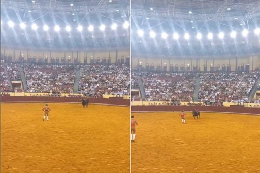 Immagine della corrida