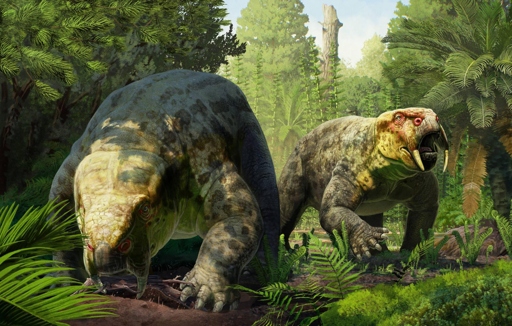 Chiamata Dinodontosaurus isiyavamanda, la nuova specie visse circa 240 milioni di anni fa, durante il periodo Triassico.
L'animale era un dicinodonte erbivoro, un gruppo di sinapsidi con becco e zanne, parenti lontani dei mammiferi moderni. Apparteneva al genere Dinodontosaurus, un genere di dicinodonti precedentemente noto solo in Sud America.
