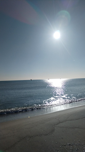 I pescherecci nella scia luminosa