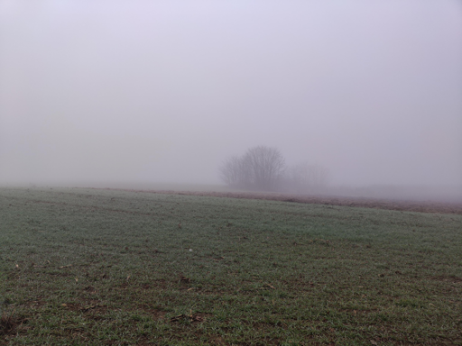 camminando in campagna verso l'inverno
