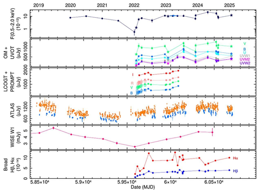 Grafico multi-panel che mostra come la luminosità di J1240–2309 sia cambiata nel tempo a diverse lunghezze d’onda. Il pannello superiore mostra la luminosità nei raggi X misurata da tre diversi telescopi spaziali—eROSITA, XMM-Newton e Swift. Il secondo pannello mostra la luminosità ultravioletta e ottica osservata da XMM-Newton e Swift. Il terzo e il quarto pannello riportano la fotometria ottica da terra ottenuta da LCO+PROMPT e ATLAS. Il quinto pannello mostra la luminosità infrarossa dal satellite NEOWISE. Il pannello inferiore traccia come la forza delle righe di emissione idrogeno allargate (Hα e Hβ) sia cambiata nel tempo.