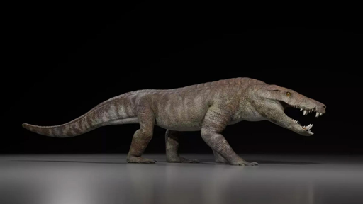 Il Kostensuchus atrox vagava sulla Terra durante il Maastrichtiano, nel periodo Cretaceo, circa 70 milioni di anni fa.

Questa antica specie era un grande predatore, lungo circa 3,5 m (11,5 piedi) e del peso di 250 kg.

L'animale aveva mascelle larghe e potenti e grandi denti in grado di divorare prede di grandi dimensioni, tra cui probabilmente anche dinosauri di medie dimensioni.

Il Kostensuchus atrox apparteneva alla famiglia dei Peirosauridae, una famiglia di crocodylomorfi del Gondwana appartenente al sottordine dei Notosuchia.
