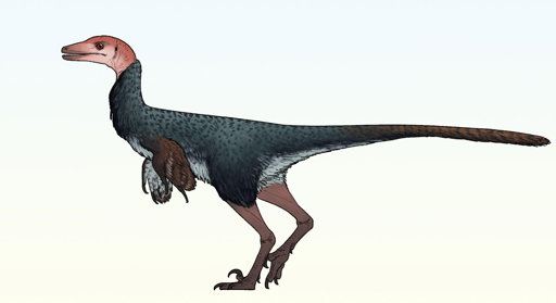 Xenovenator espinosai.