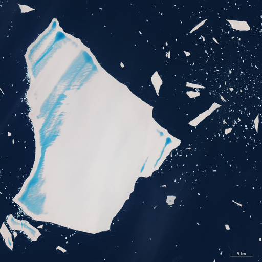 A23a si è distaccato dalla Filchner-Ronne Ice Shelf in Antartide occidentale nel 1986. All’epoca misurava circa 4000 km quadrati — più di tre volte la superficie di Roma — rendendolo l’iceberg più grande del mondo. Dopo essere rimasto incagliato sul fondale oceanico per decenni, nel 2020 ha perso l’ancoraggio e ha iniziato a galleggiare nel Mare di Weddell fino a quando, nel novembre 2023, ha cominciato a allontanarsi rapidamente dalle acque antartiche.

Spinto da venti e correnti, l’iceberg ha percorso circa 2000 km più a nord verso le acque più calde dell’Atlantico meridionale, raggiungendo la Isola di South Georgia nel maggio 2025, dove ha iniziato a disintegrarsi.

Nel corso del 2025, A23a si è frammentato in blocchi di ghiaccio più piccoli, riducendo significativamente le sue dimensioni. In questa immagine del 20 dicembre 2025, l’iceberg si trova a circa 150 km a nord-ovest di South Georgia, circondato da numerosi iceberg di varie dimensioni. Sebbene abbia perso circa tre quarti della sua superficie, A23a è ancora uno dei più grandi iceberg che galleggiano in acque aperte, con un’area di circa 1000 km quadrati.

Le aree di colore azzurro brillante visibili sulla sua superficie e sugli iceberg a sud sono pozze di acqua di fusione, chiari segnali della rapida fine dell’iceberg.

