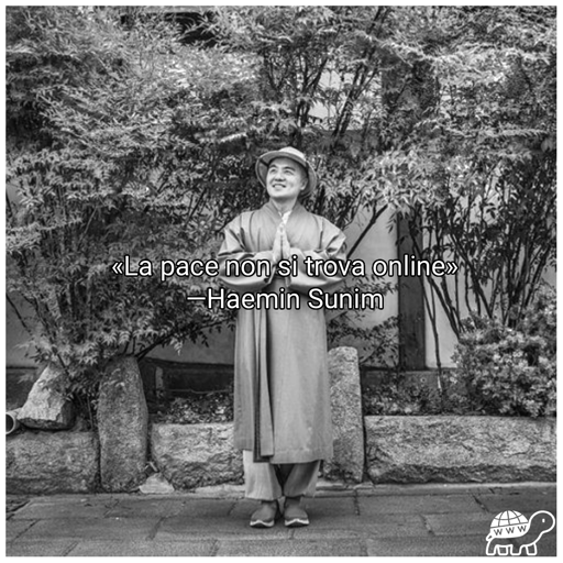 Frase di Haemin Sunim:"La pace non si trova online"
