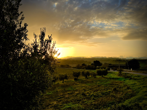 Tramonto su un paesaggio rurale con alberi e colline verdi, cielo con nuvole e luci calde del tramonto.