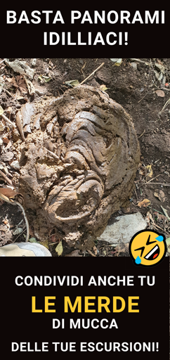 Basta panorami idilliaci: condividi anche tu le foto delle merde di mucca delle tue escursioni! (in foto una bella cacca fumante di bovino!)